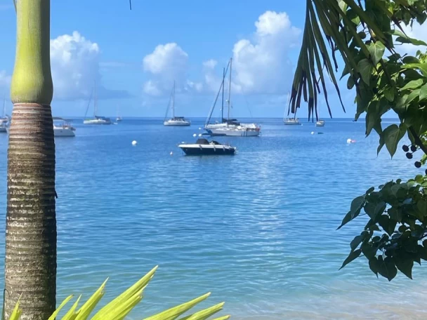 Noleggio Barca a motore a Deshaies – Pacific Craft Pacific Craft 630