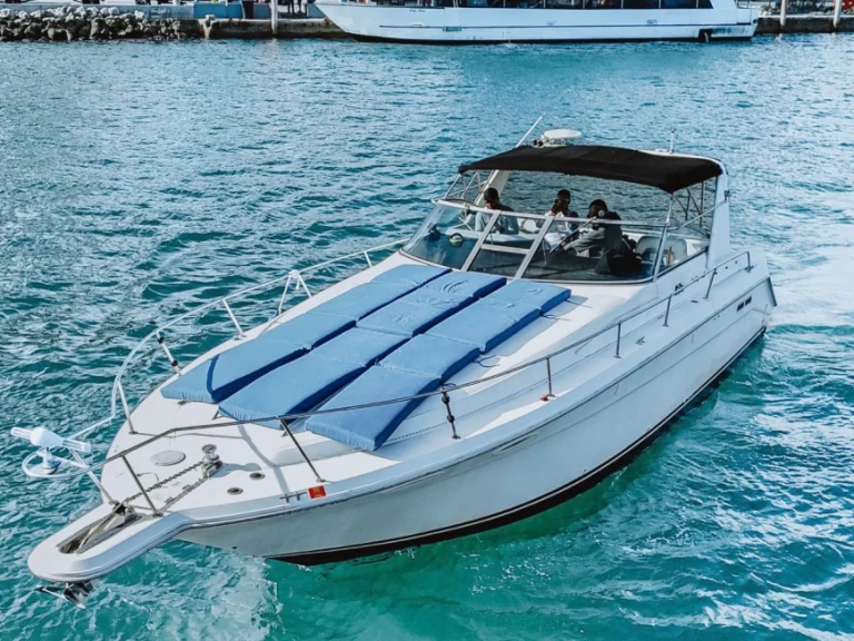Noleggio a Miami – Sea Ray Sea Ray 370 Sundancer su SamBoat