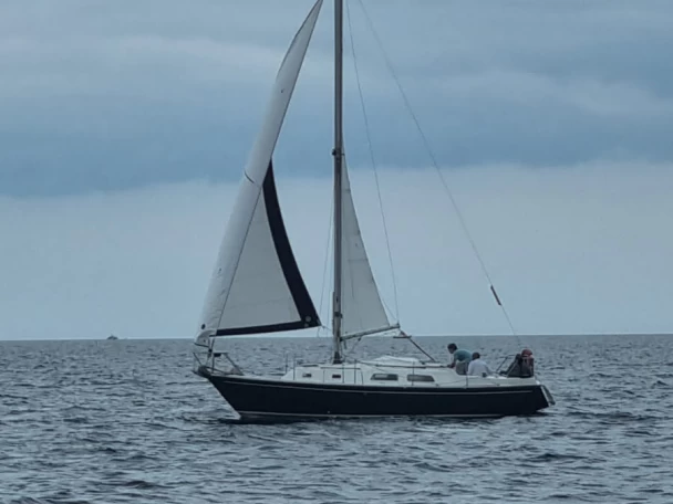 Noleggio Barca a vela a Port de Sainte-Marine – Contest contest 29