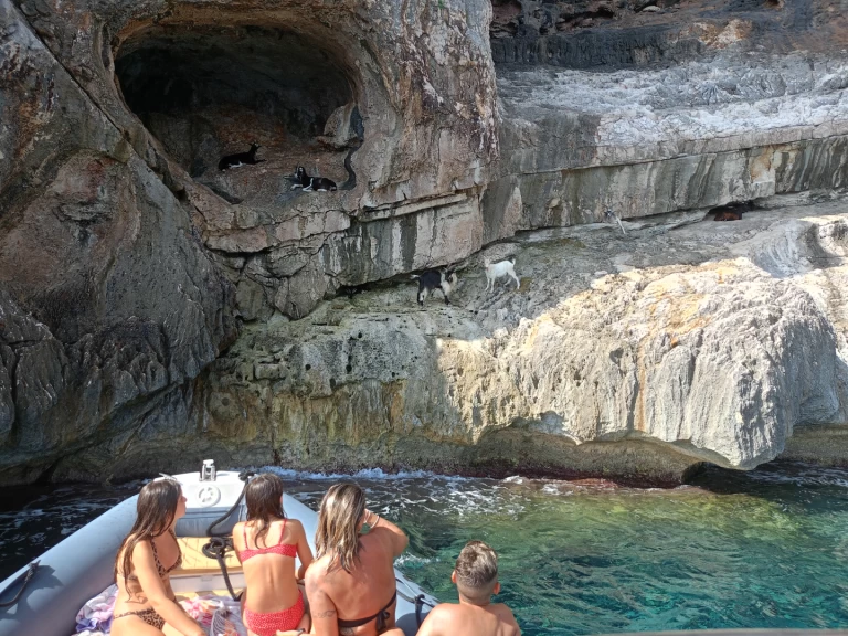 Noleggio a Cala Gonone – Nuova Jolly King 750 su SamBoat