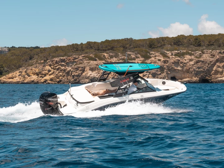 Noleggio a Palma de Maiorca – Sea Ray SPX 210 OB su SamBoat