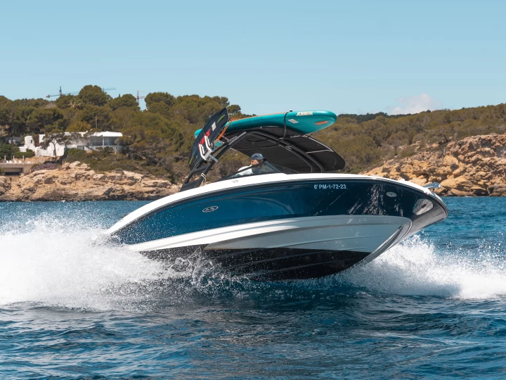 Noleggiare una Sea Ray SPX 210 OB a Palma de Maiorca