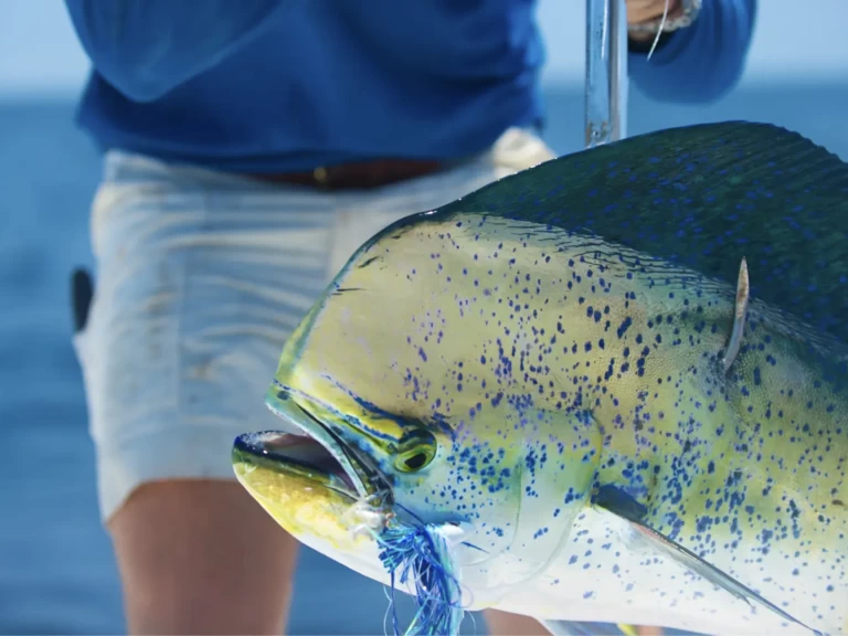 Noleggiare una HCB 53 Suenos  a Providenciales