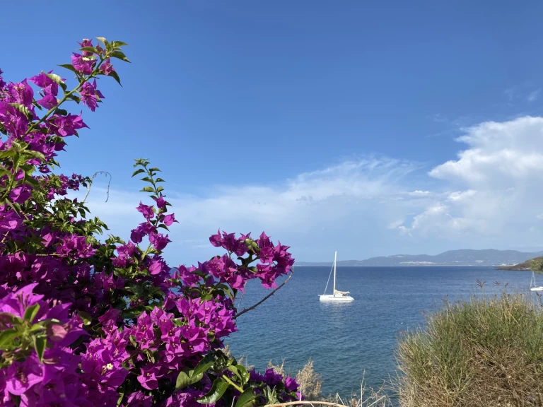 Noleggio a Pianottoli-Caldarello – ALIBI ALIBI 54 su SamBoat