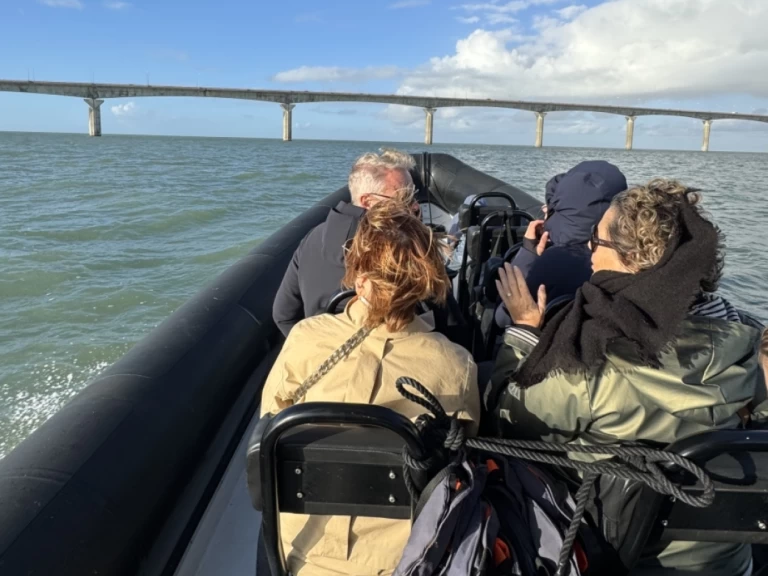 Noleggio barche Narwhal sp900 a La Rochelle su Samboat