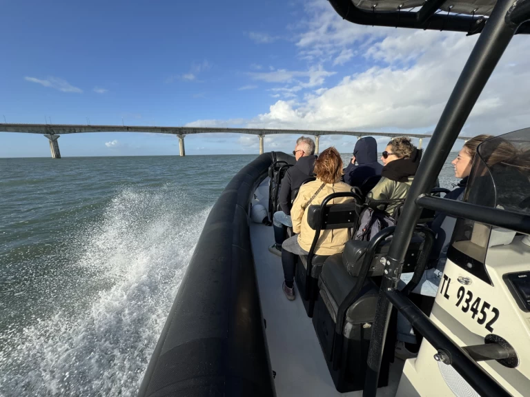 Noleggio Gommone Narwhal con patente nautica