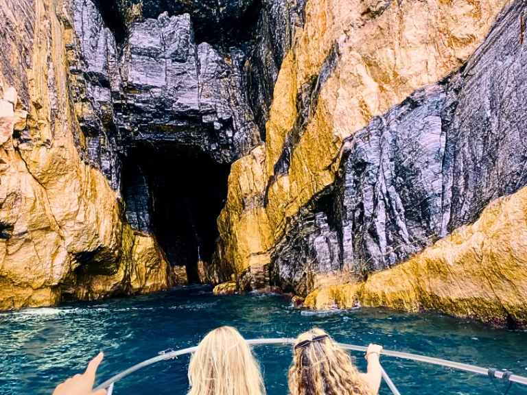 Noleggio a La Spezia – Boston Whaler Boston Whaler 220 Dauntless su SamBoat