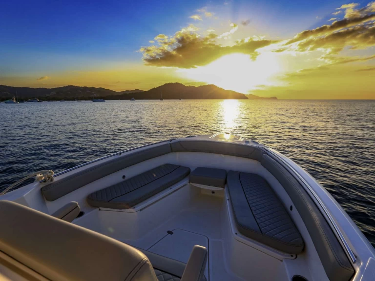 Noleggio Barca a motore Pursuit con patente nautica