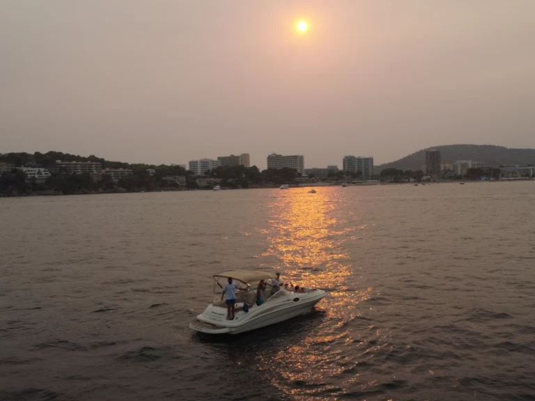 Noleggio a Palma de Maiorca – Sea Ray Sea Ray 240 Sundeck su SamBoat