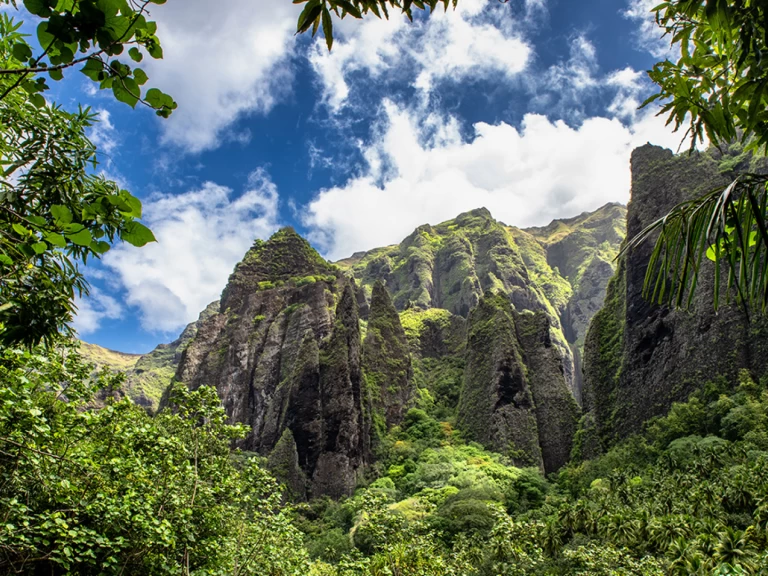 Noleggio barche Alubat Ovni 43 a La Paz su Samboat
