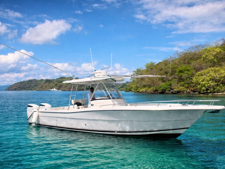 Pursuit Pursuit 32 da affittare a  Coco Bay