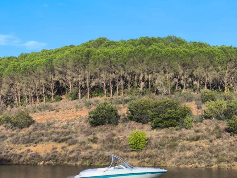 Noleggio barche Ferragudo economico SSV 215