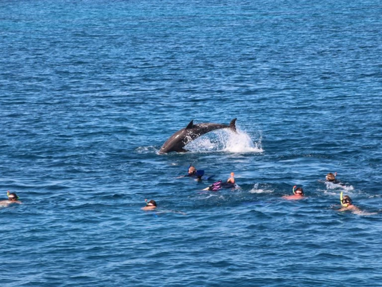 Noleggio Yacht di lusso  con patente nautica