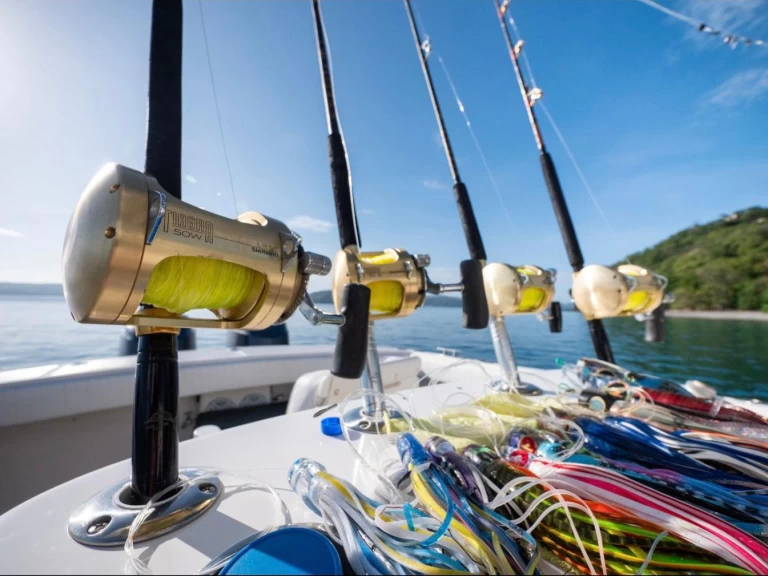 Barca a motore a noleggio a Coco Bay al miglior prezzo
