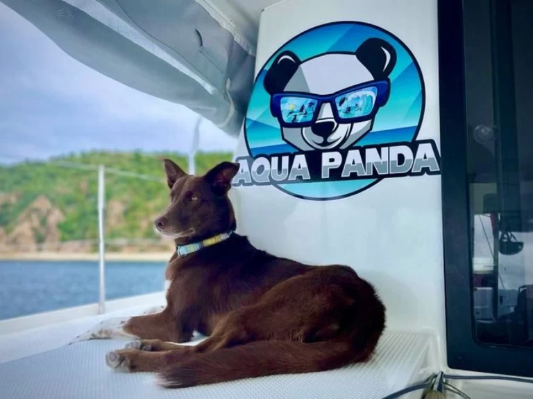 Noleggio Catamarano a Kingstown – Fountaine Pajot Lucia 40