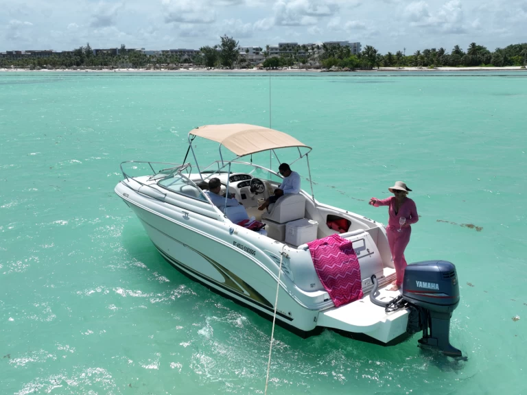 Noleggio a Punta Cana – Custom Custom su SamBoat