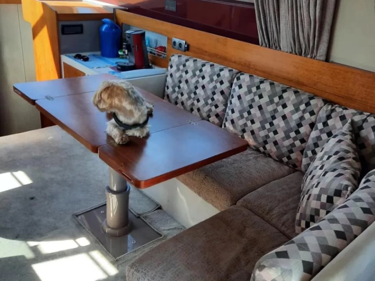 Noleggio Barca a motore a Pola – Riva rivarama 44