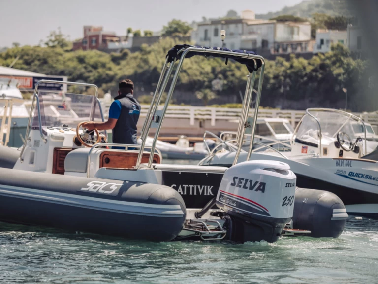Noleggio Gommone con o senza skipper Sacs a Forio