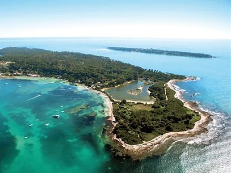 Noleggio barche Cannes economico Targa 42