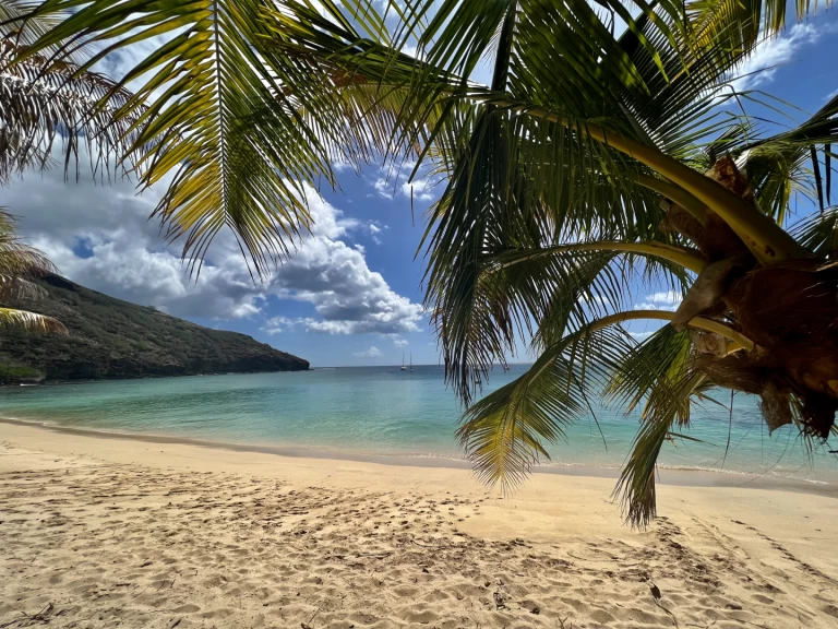Noleggio Barca a vela Pogo Structures con patente nautica