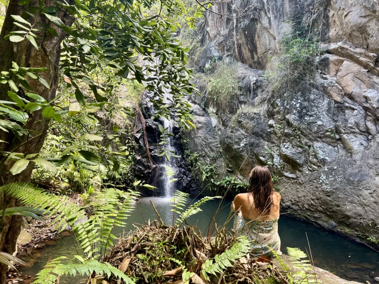 Noleggio barche Pogo Structures Pogo 12.50 a Hiva-Oa su Samboat