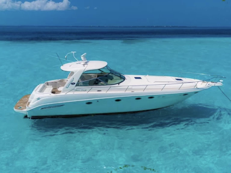 Noleggiare una Sea Ray Sea Ray 460 a Cancún