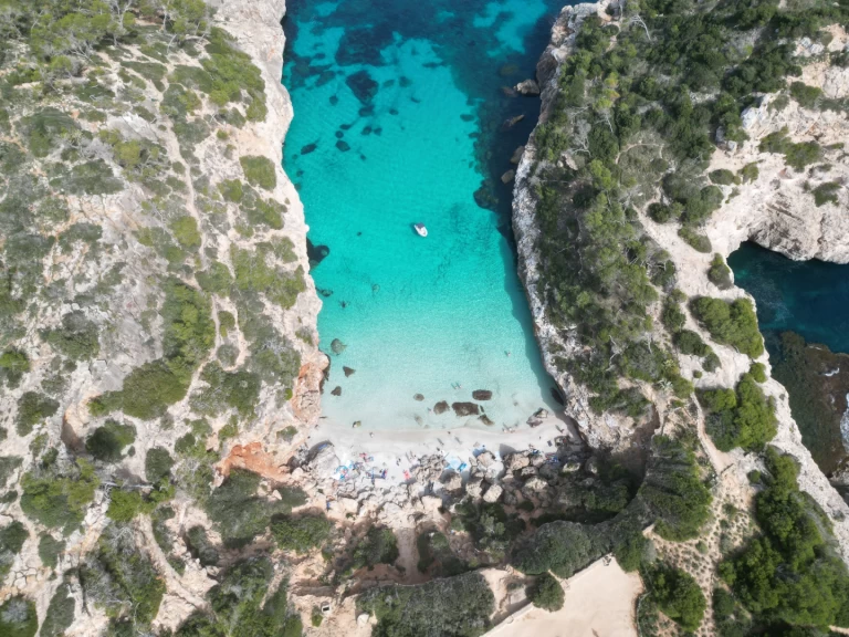 Protender Xs 470 da affittare a  Cala Figuera