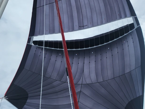 Neel Neel 43 da affittare a  Carloforte