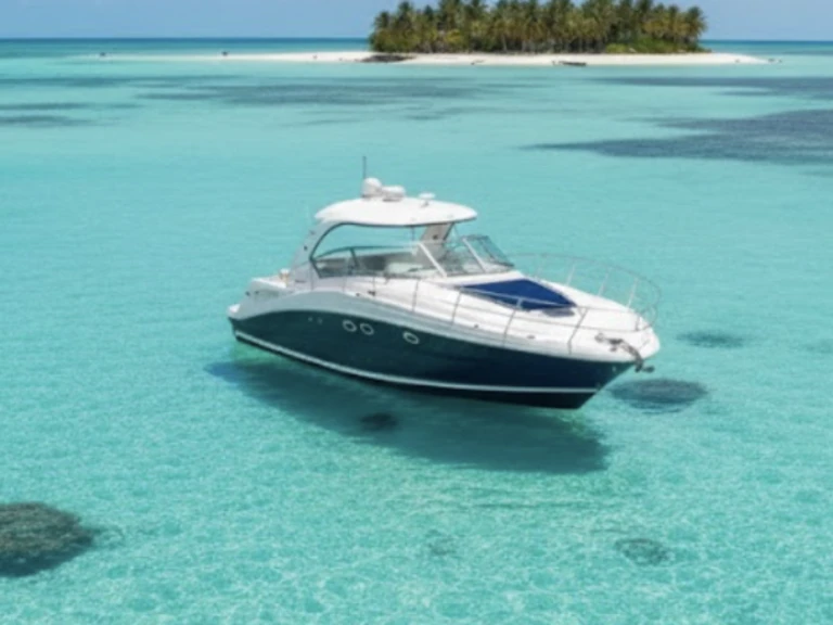 Sea Ray SUNDANCER 420 da affittare a  Key West