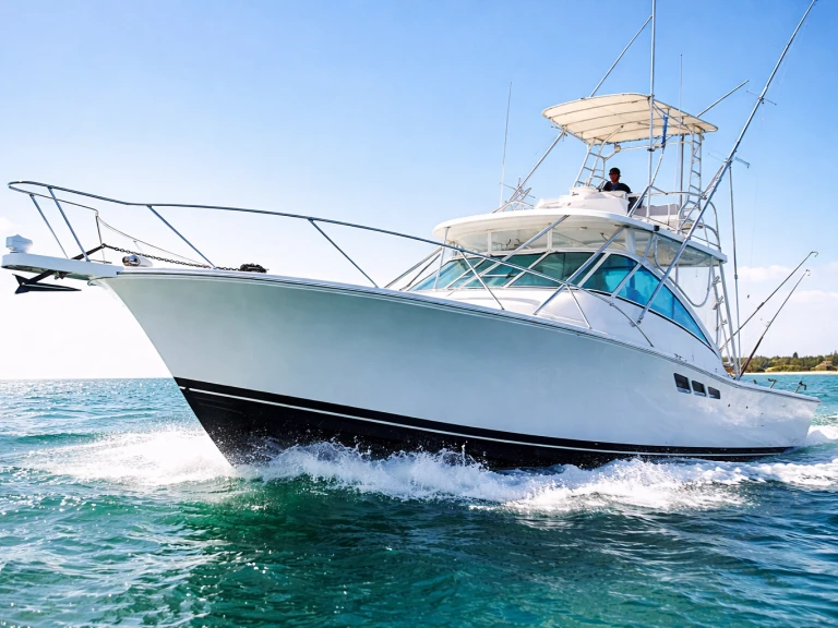 Noleggio barche Bávaro economico custom