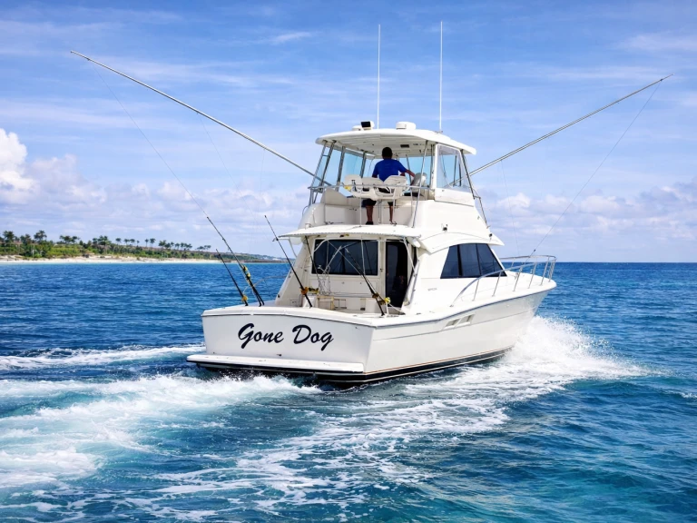 Barca a motore a noleggio a Bávaro al miglior prezzo