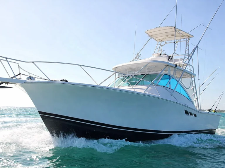 Noleggio Barca a motore Custom Made con patente nautica