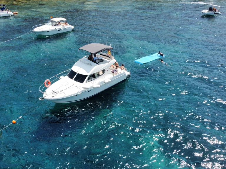 Noleggiare una Jeanneau Prestige 32 Fly a Dénia