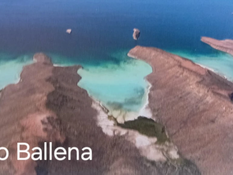 Noleggio a La Paz – Alubat Ovni 43 su SamBoat