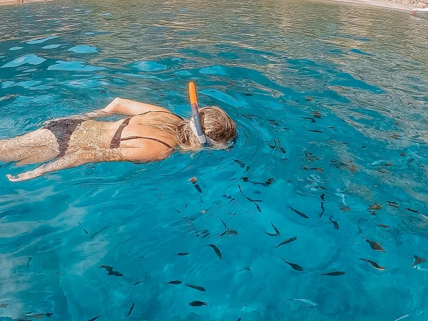 Okiboats Barracuda 545 Open da affittare a  Club Nàutic Ca'n Picafort