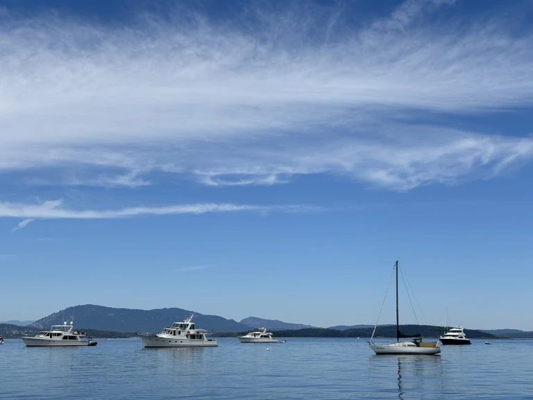 Noleggio Barca a vela con o senza skipper Albin a Sidney