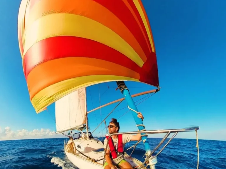 Noleggio barche Custom Made Peterson 34  a Le Marin su Samboat