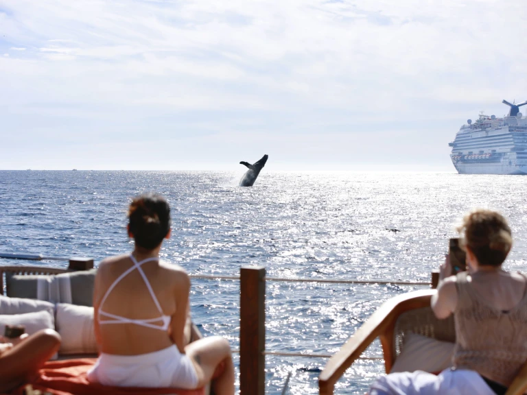 Noleggio barche Custom Made 36 a Cabo San Lucas su Samboat