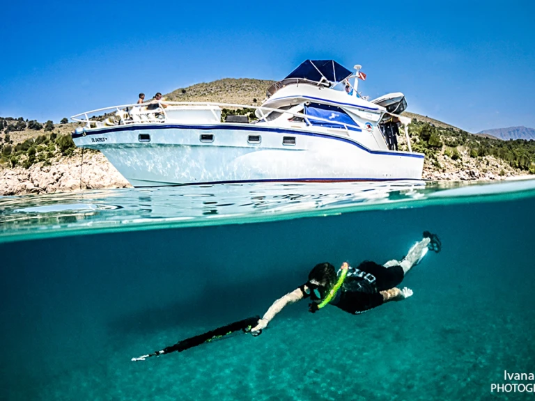 Custom Made Striker 50 da affittare a  Bar