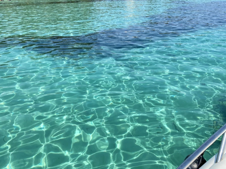 Noleggio barche Cannes economico Turchese 24