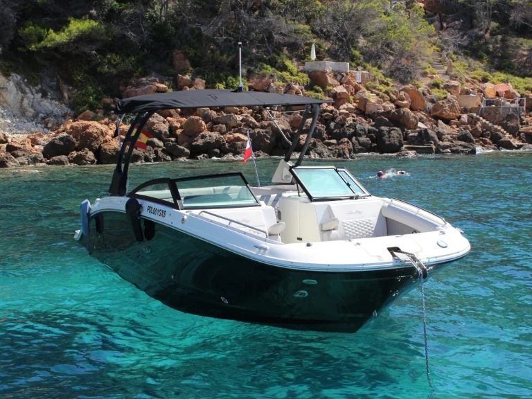 Noleggio a Spagna – Sea Ray SDX 290 su SamBoat