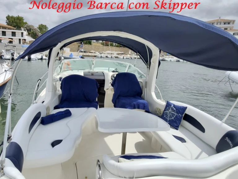Sea Ray Sea Ray 260 Sundancer da affittare a  Santa Marinella