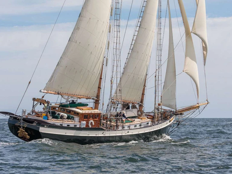 Noleggio barche Newport economico TREE OF LIFE