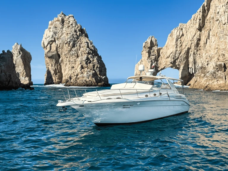 Custom Made custom da affittare a  Cabo San Lucas