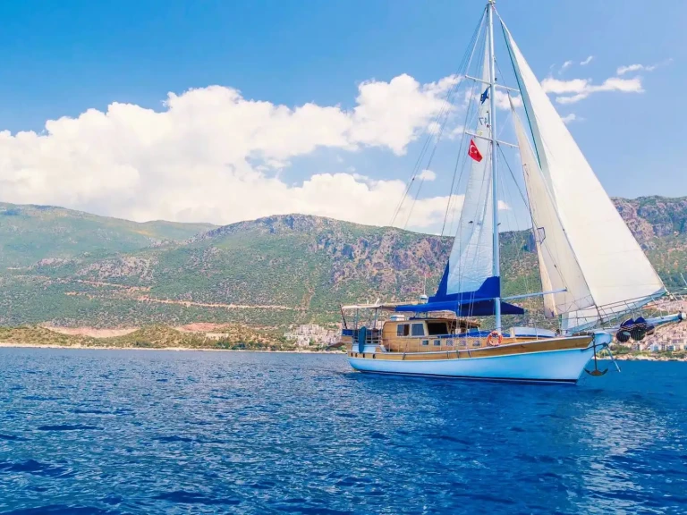 Noleggio Barca a vela Custom con patente nautica