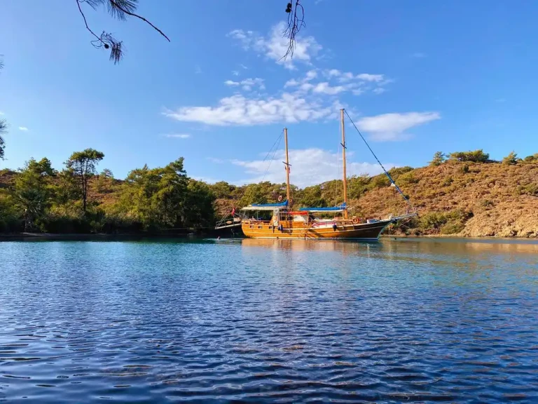 Noleggio Barca a vela Custom con patente nautica