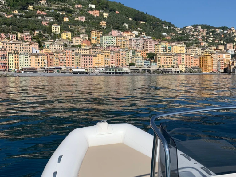 Noleggio barche Capelli Tempest 530 a Camogli su Samboat