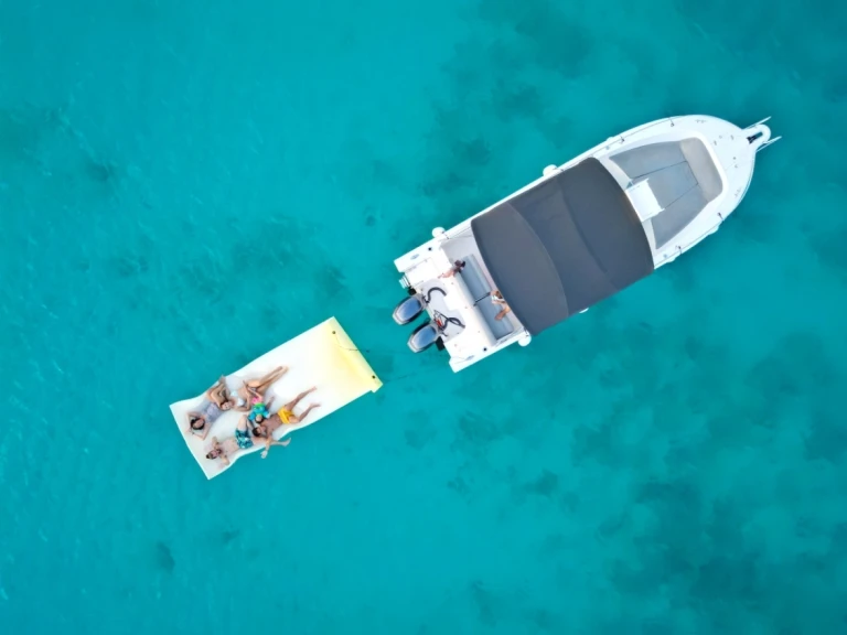 Noleggio barche White Shark White Shark 265 a Marigot su Samboat