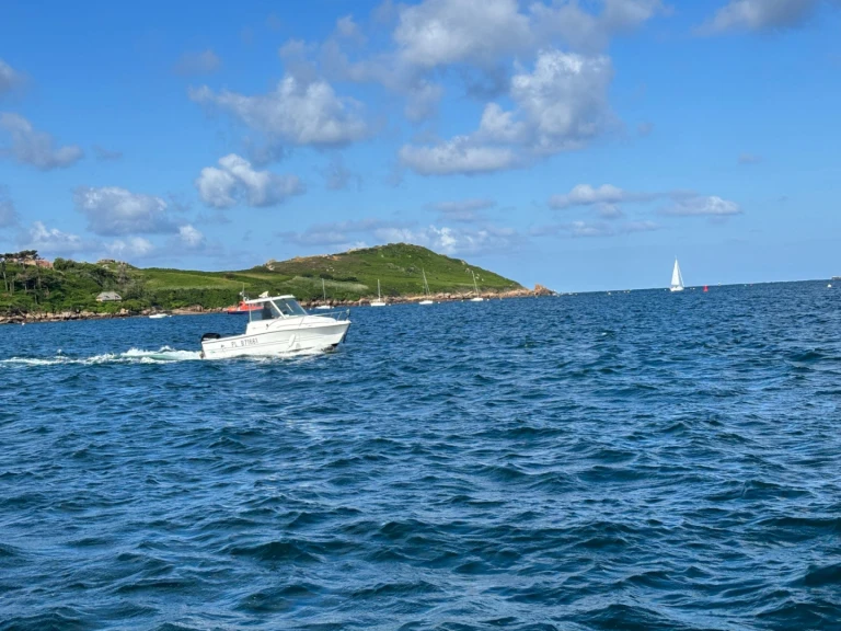 Noleggio a Trébeurden – Sessa Marine SESSA 550 su SamBoat