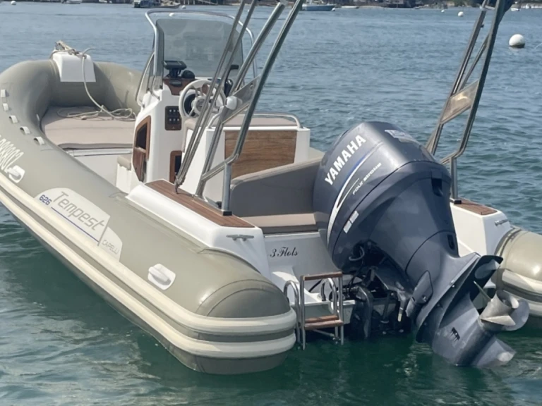 Capelli Tempest 626 Ivory da affittare a  Lège-Cap-Ferret